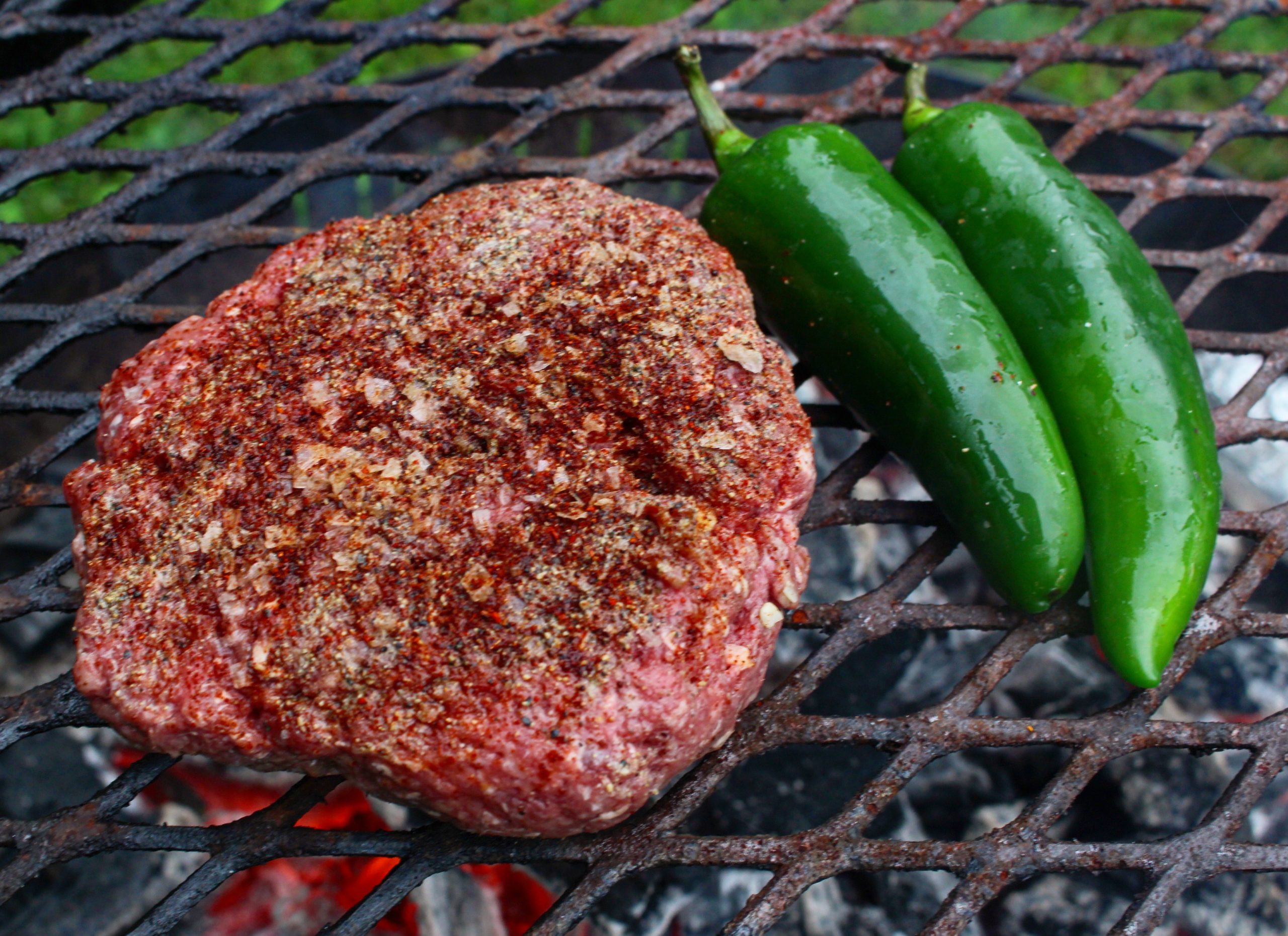 BBQ Bison Burger