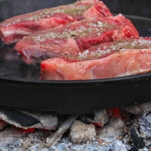 Homemade Steak Seasoning Ideas