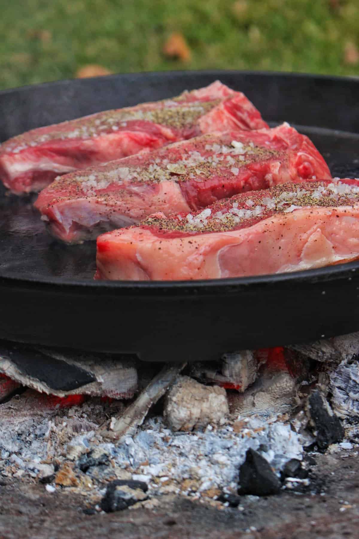 Easy seasoning outlet for steak