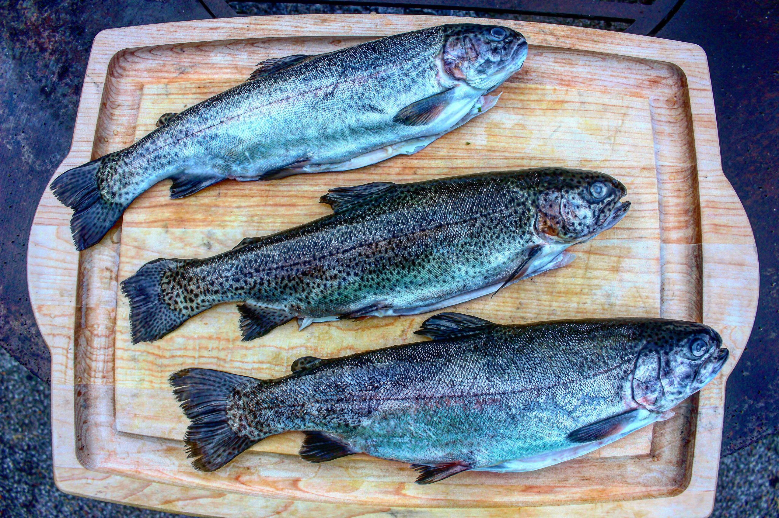 Wood Fire Herb Trout