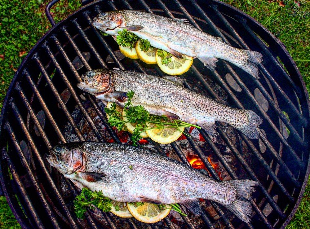 Wood Fire Herb Trout Over The Fire Cooking