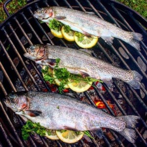 wood fire herb trout