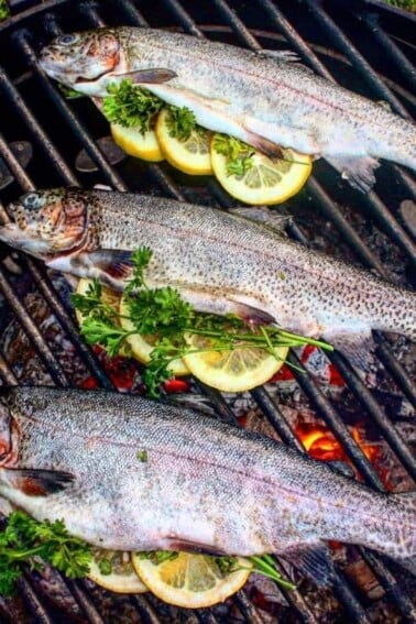 wood fire herb trout