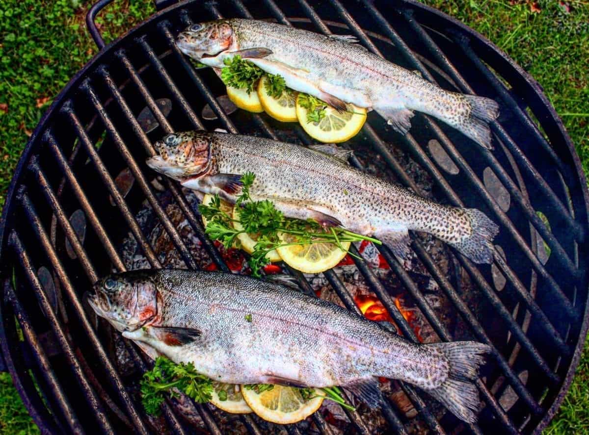 wood fire herb trout