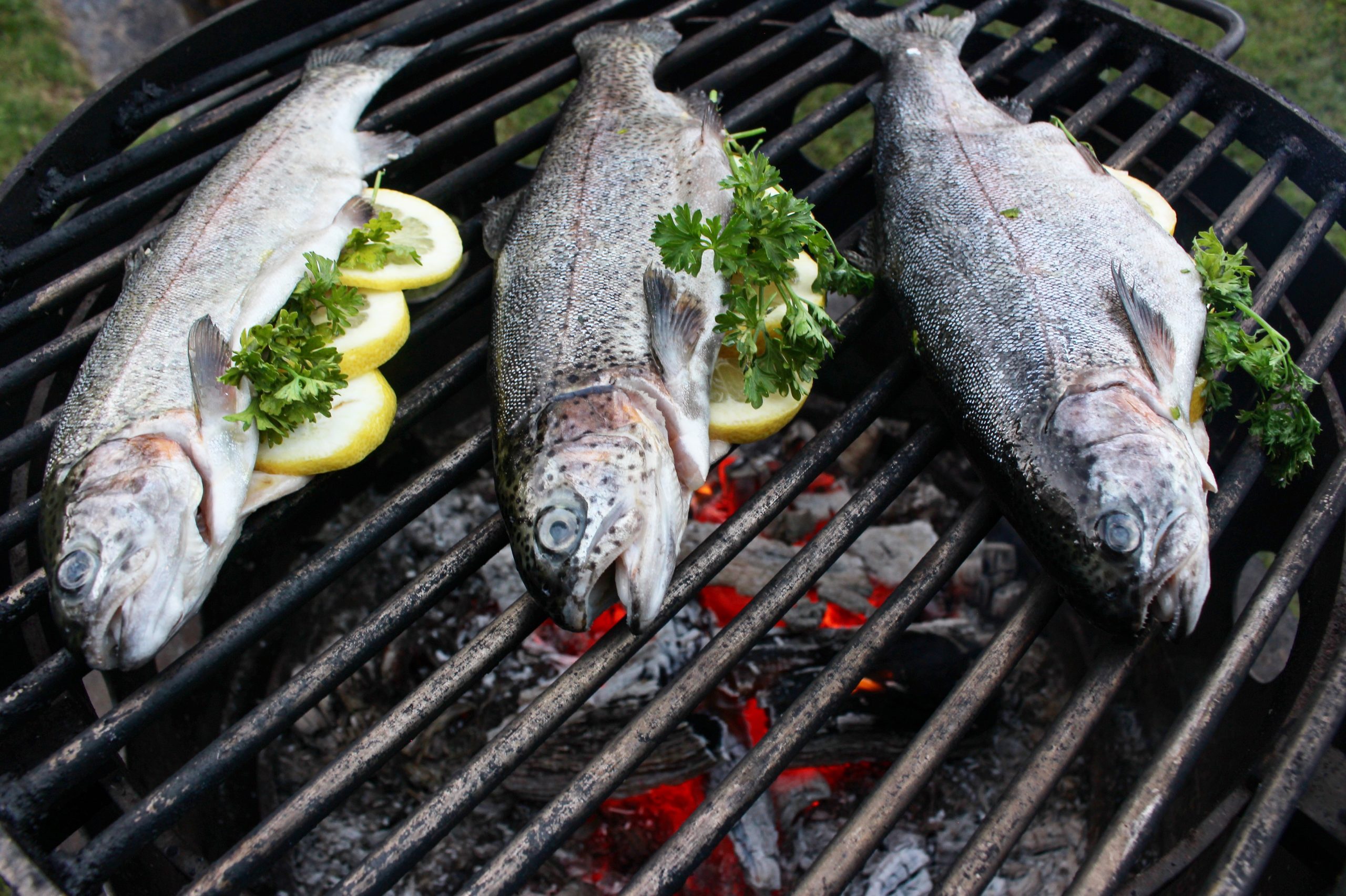 Wood Fire Herb Trout