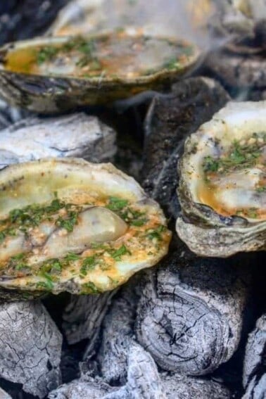 coal roasted oysters