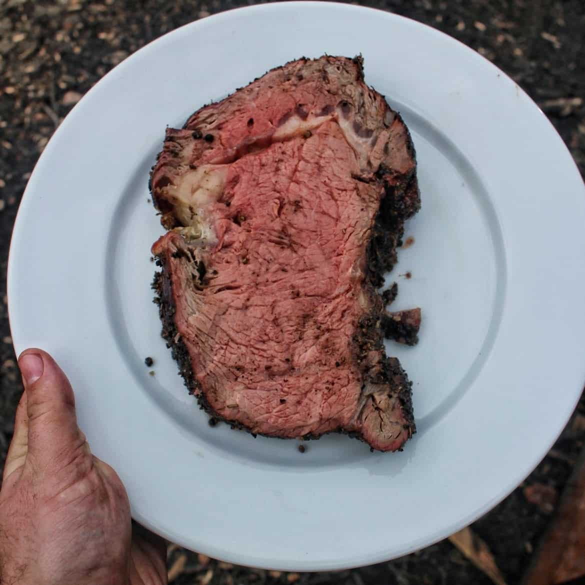Smoked Hanging Prime Rib Over The Fire Cooking,Rudbeckia