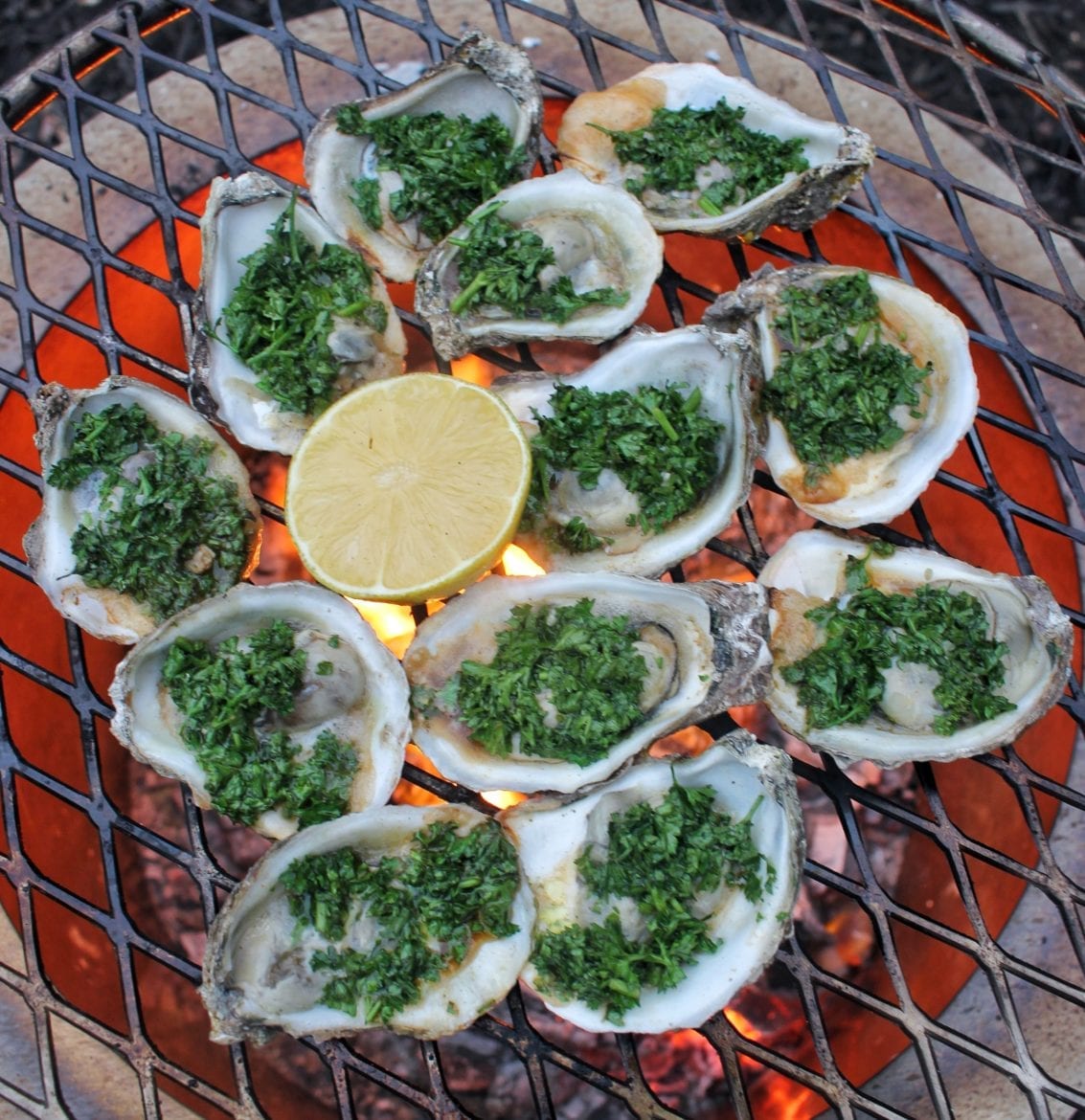 guinness oysters kilpatrick on the grill