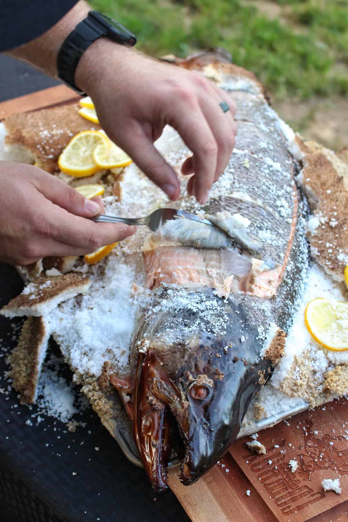 Salt Baked Salmon Recipe