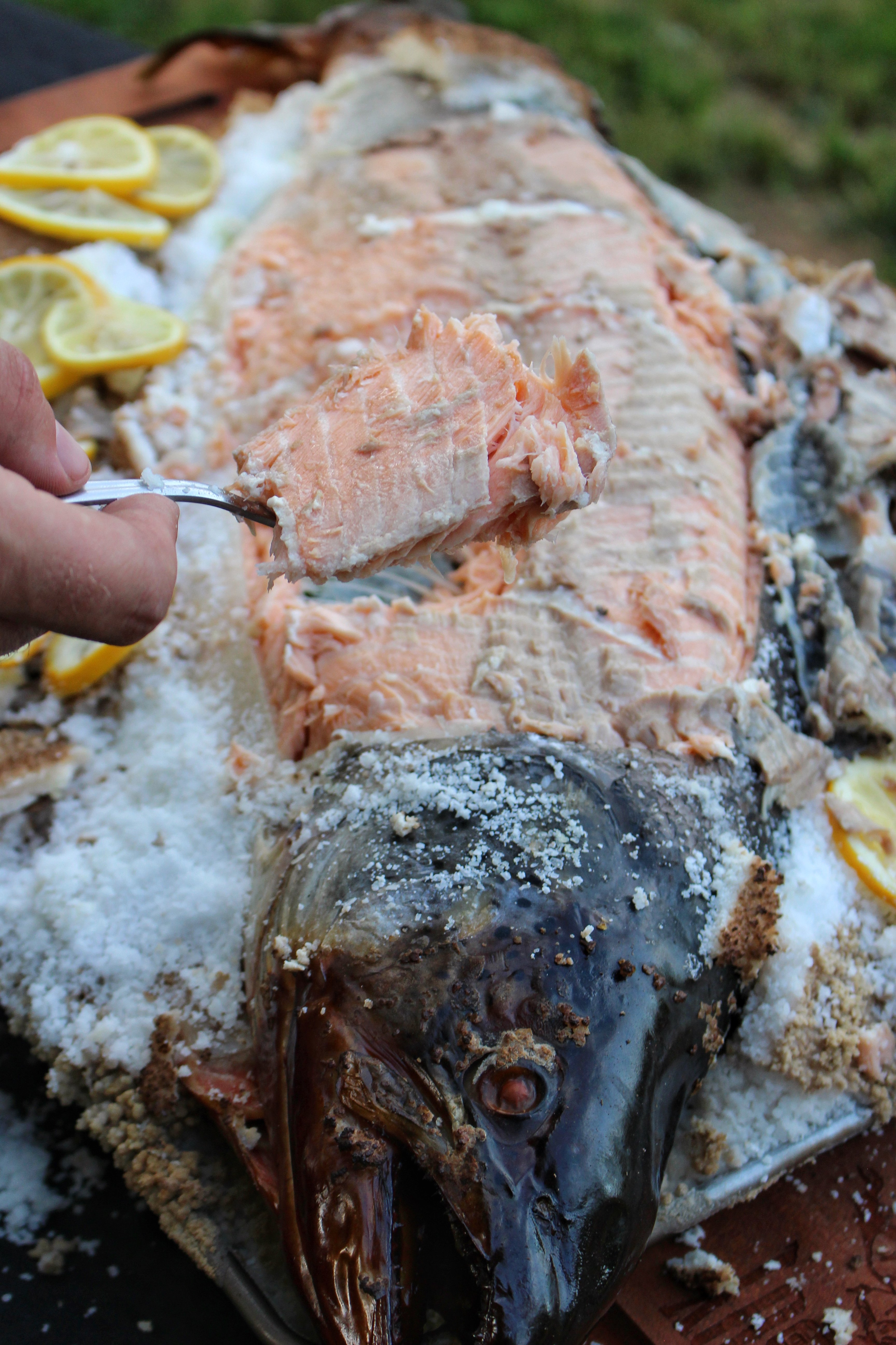 salt baked salmon