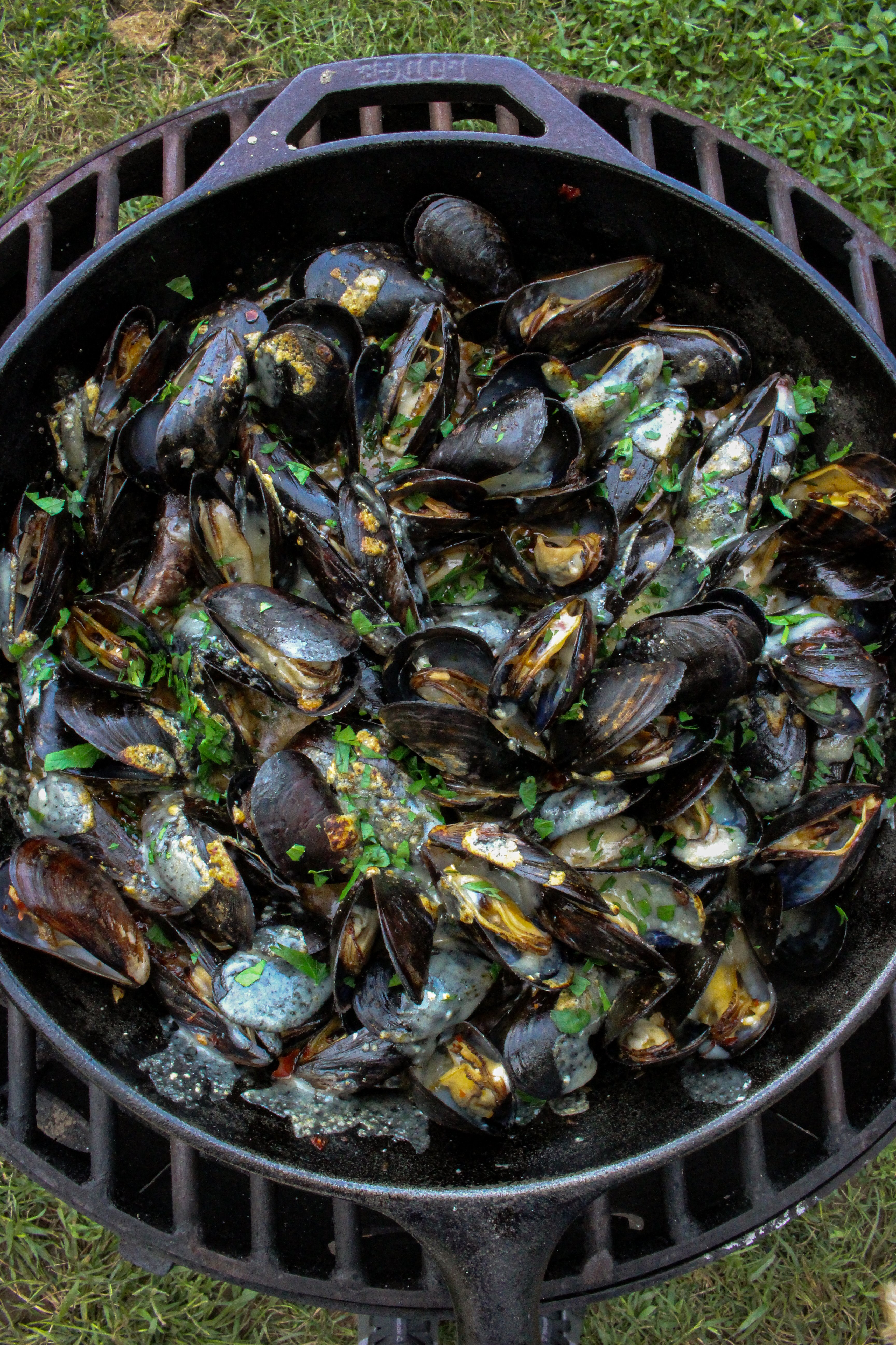 An overhead shot of Parmesan Garlic Butter Mussels as they cook. 