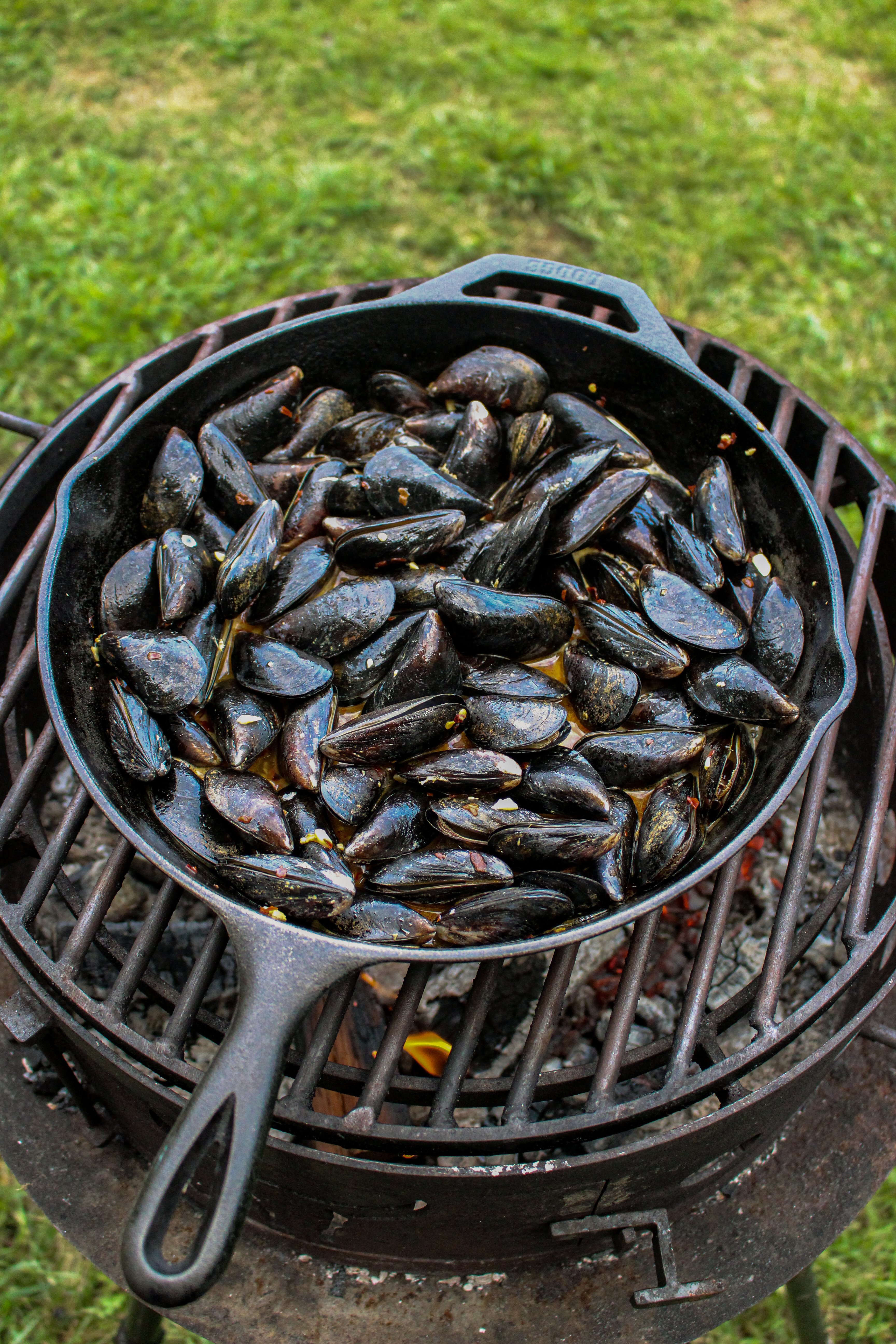 Parmesan Garlic Butter Mussels as they get started on the grill. 