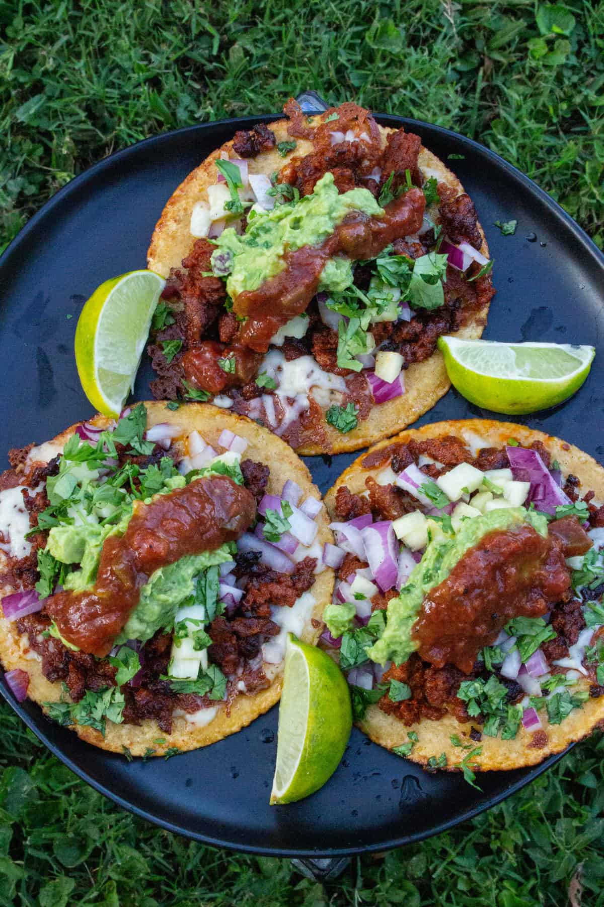 Backyard Barbacoa Tacos (on the grill)