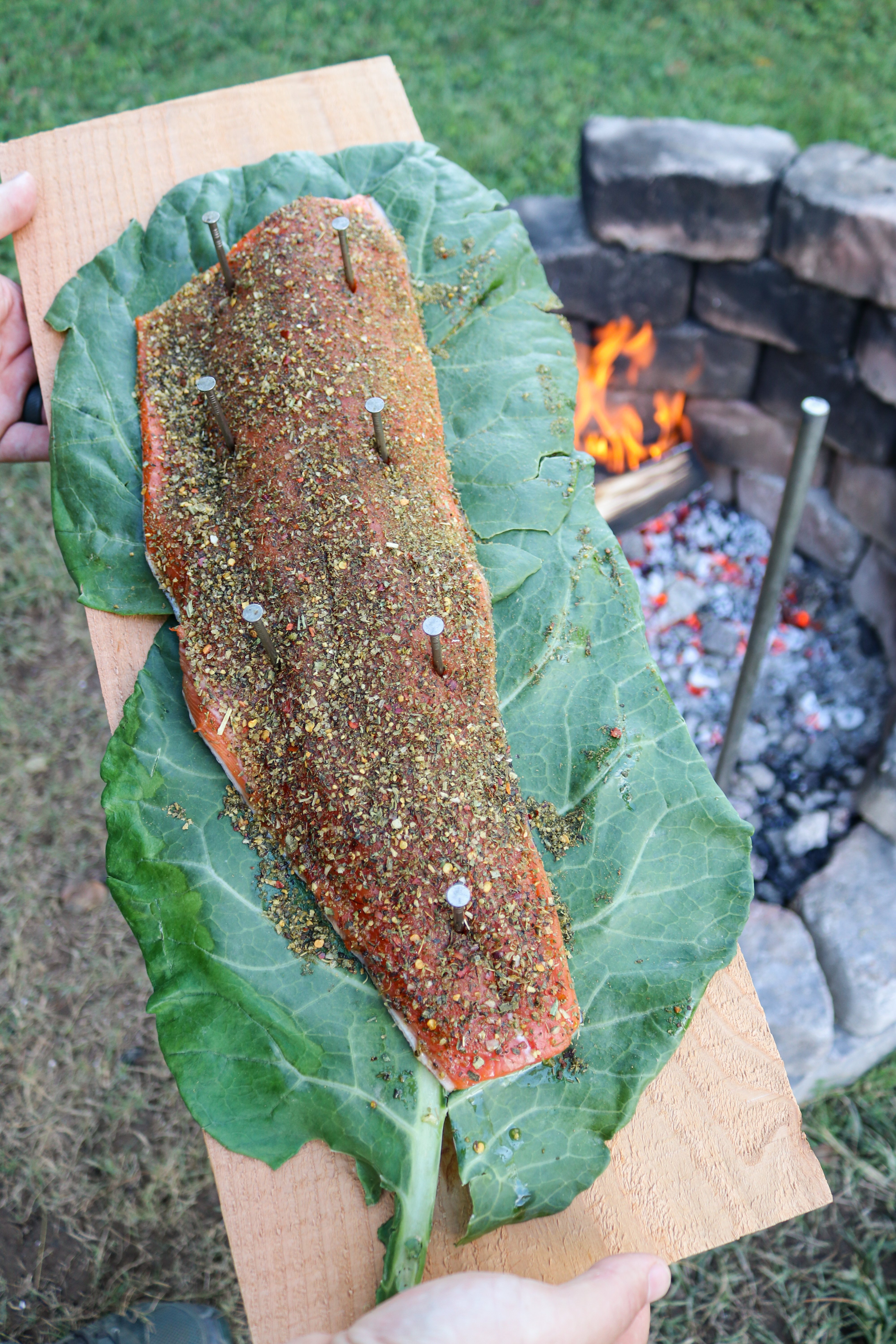 leaning salmon with roasted garlic aioli