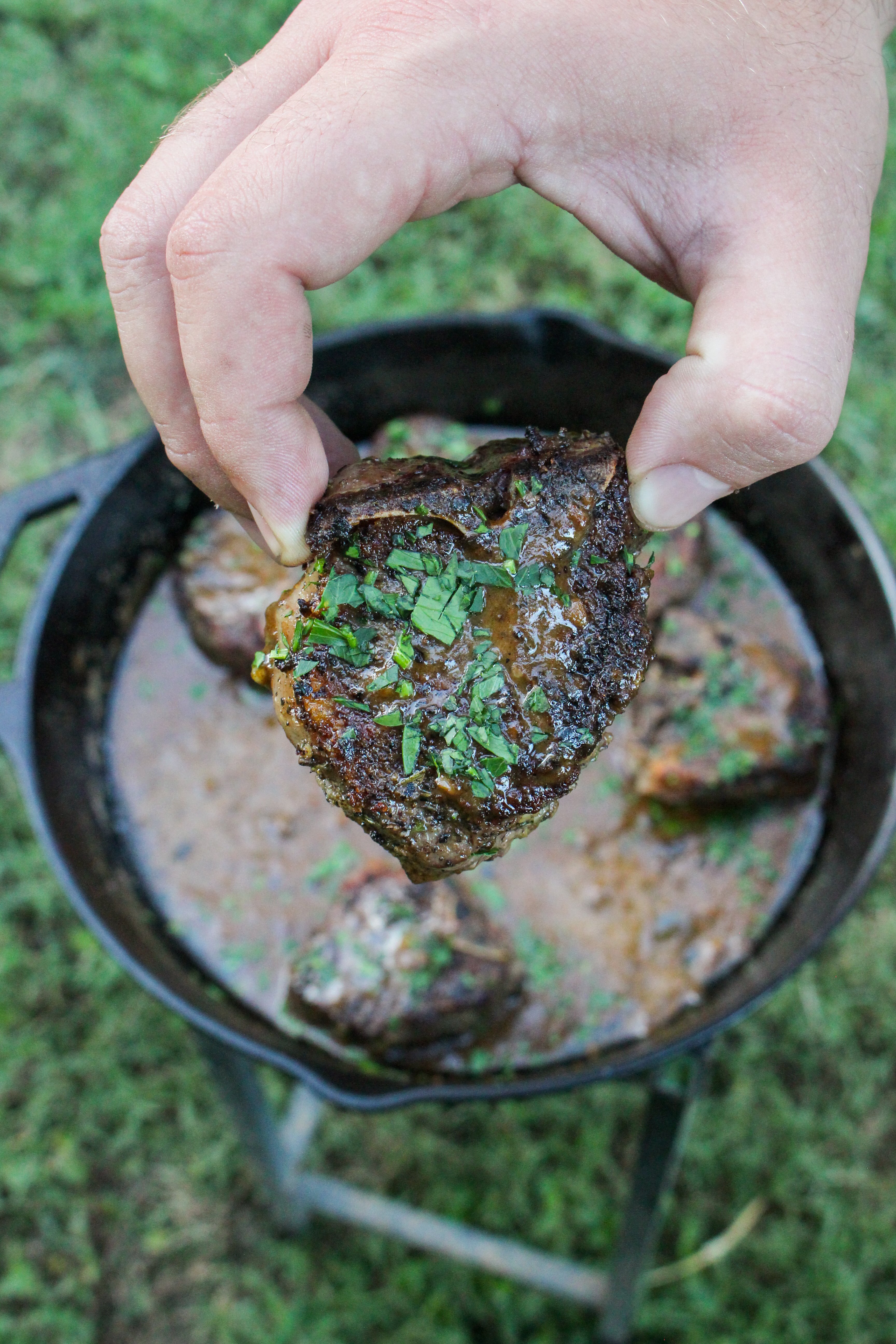 A Rosemary Garlic Lamb Chop just pulled out of the tasty sauce. 