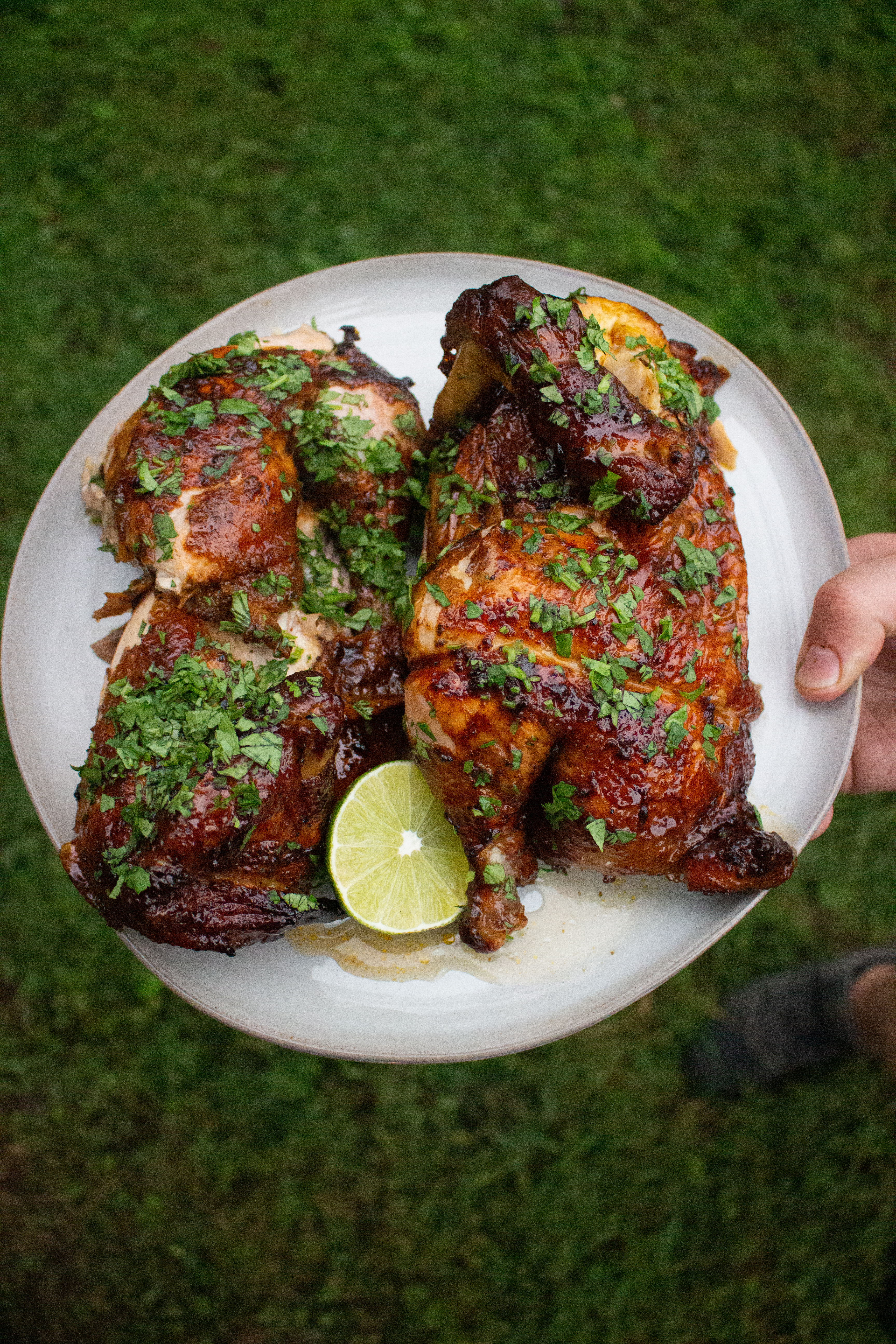 tequila lime rotisserie chicken