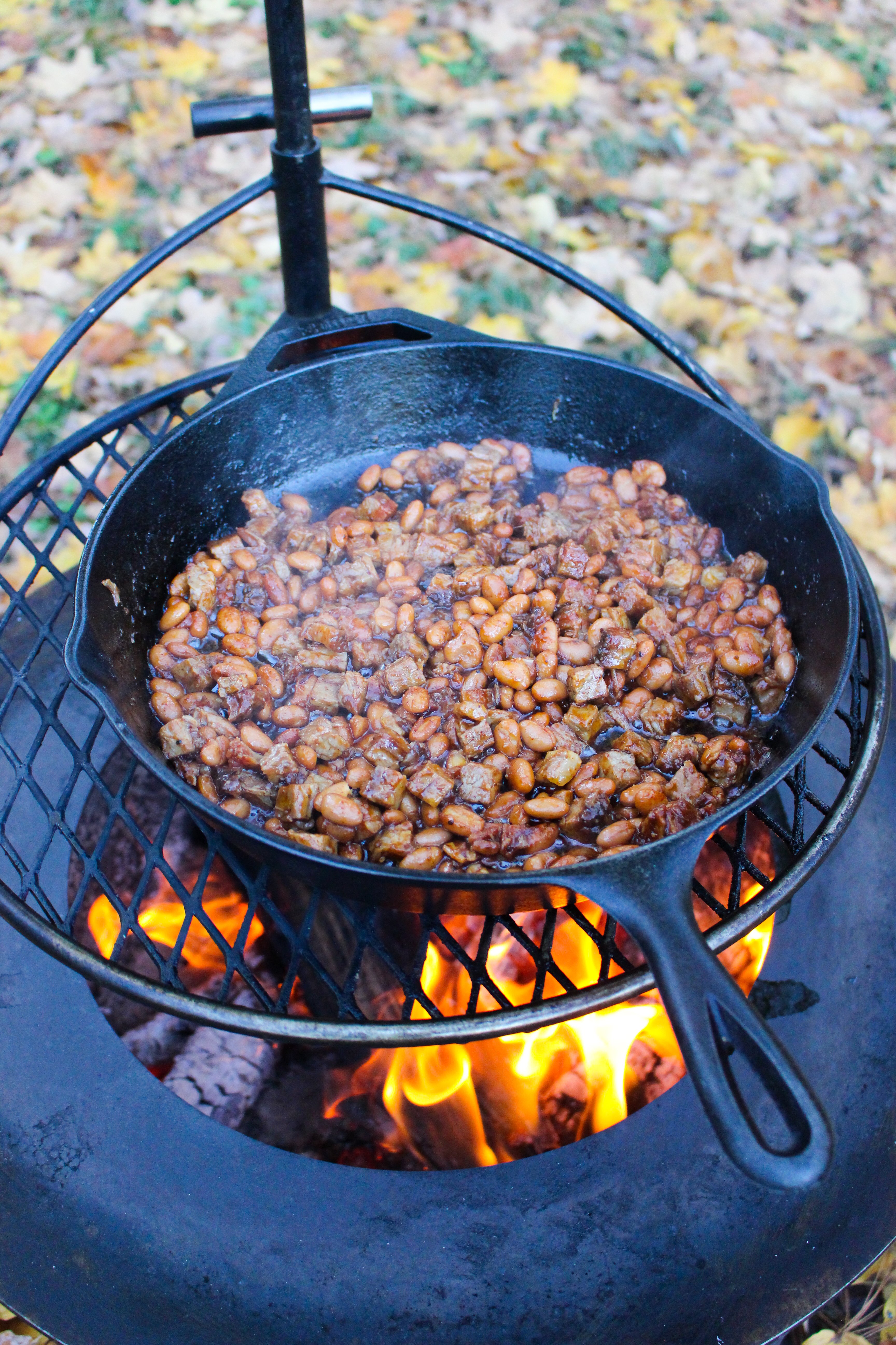 bbq brisket nachos