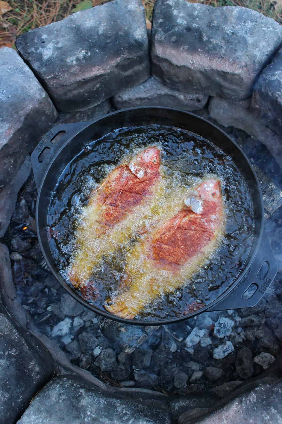 fried adobo honey fish