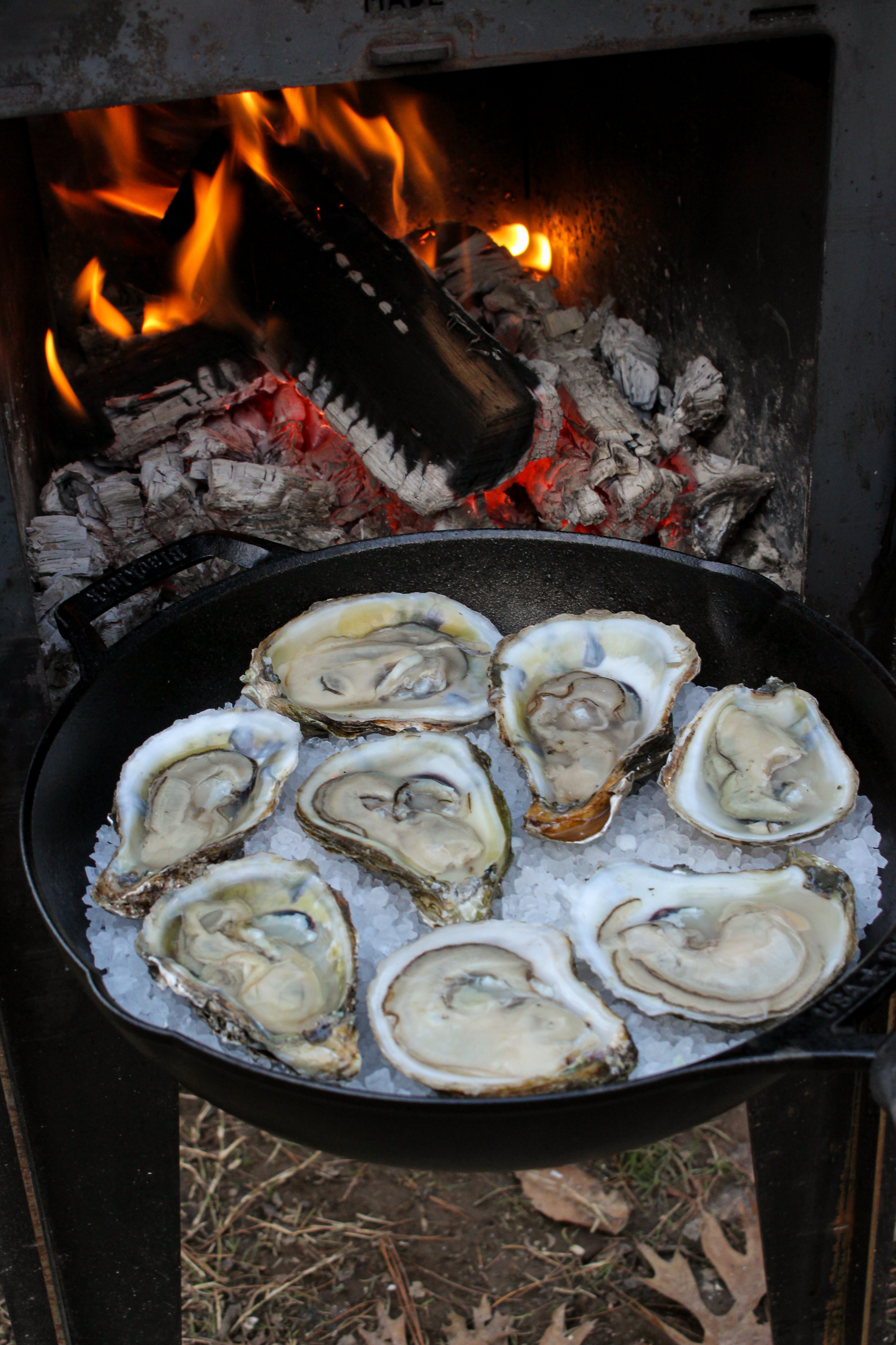 fire baked oysters