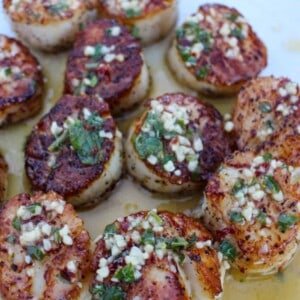 Cilantro Lime Butter Scallops