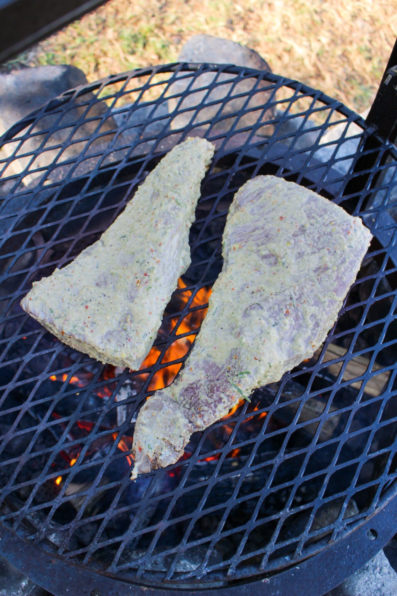 Grilled Santa Maria Tri Tip slathered in the marinade. 