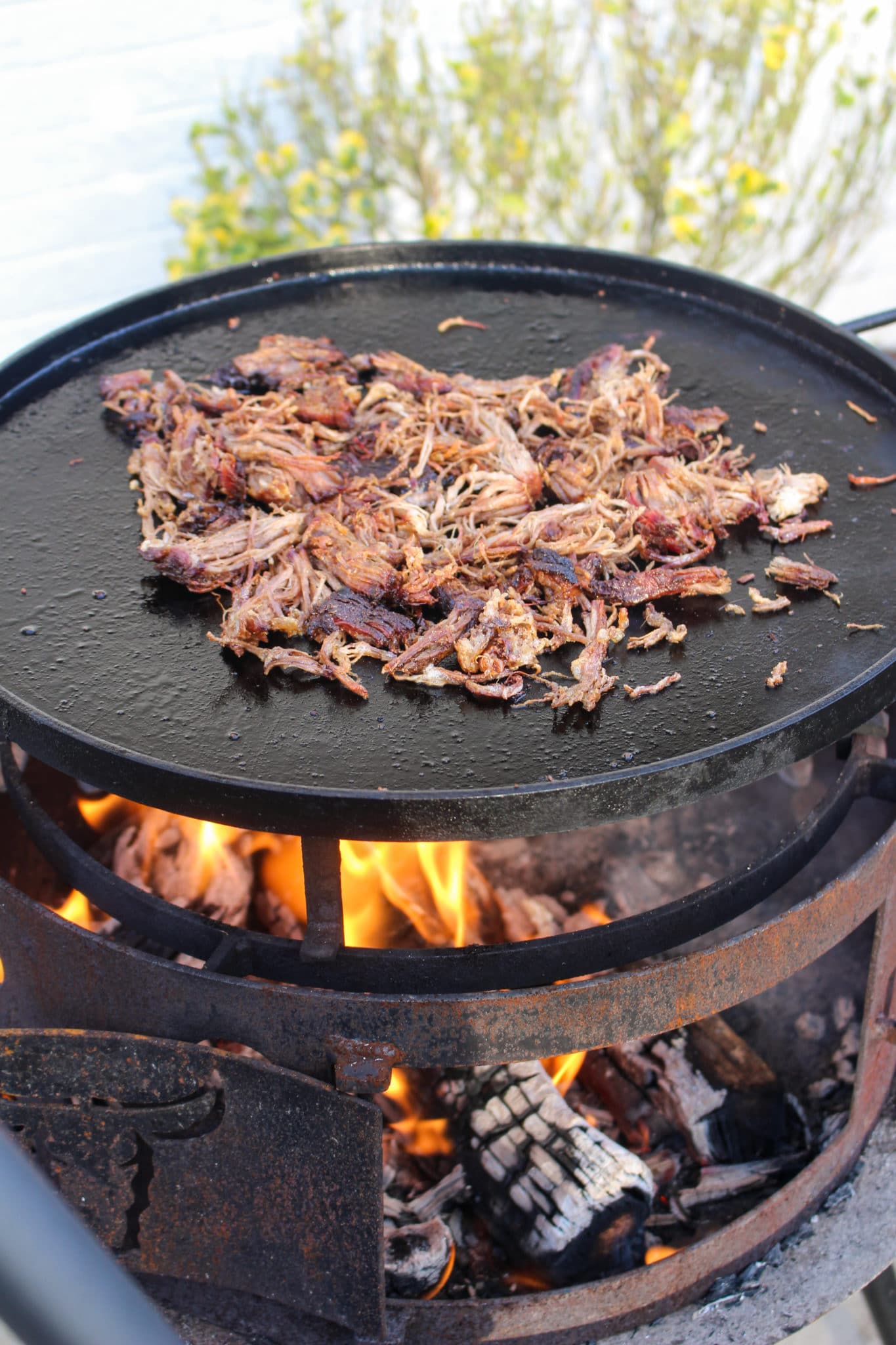 Loaded Pull Pork Tacos