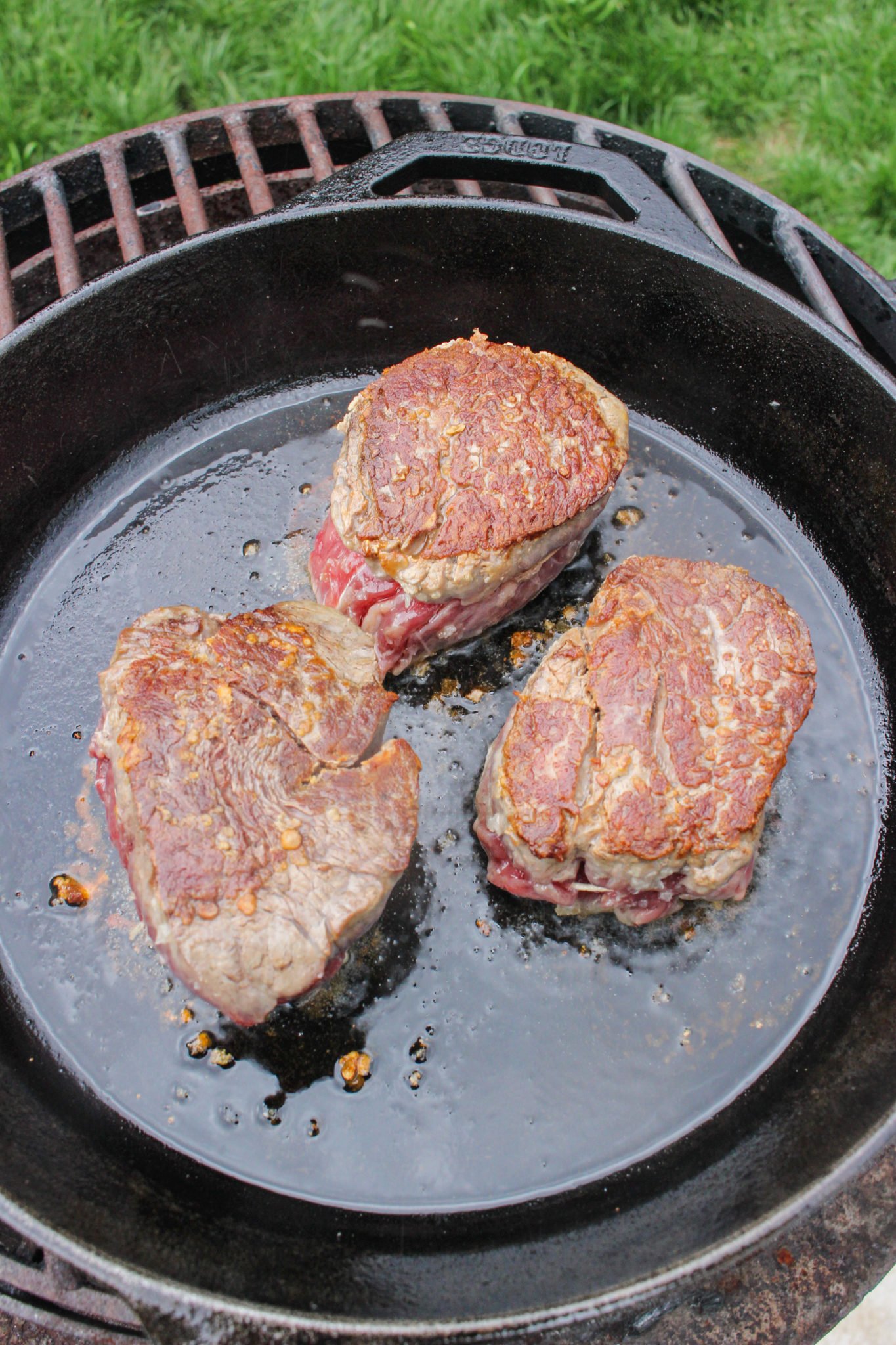 Bison Basics  Pan Fried And Oven Roasted Bison Tenderloin Steak Recipe