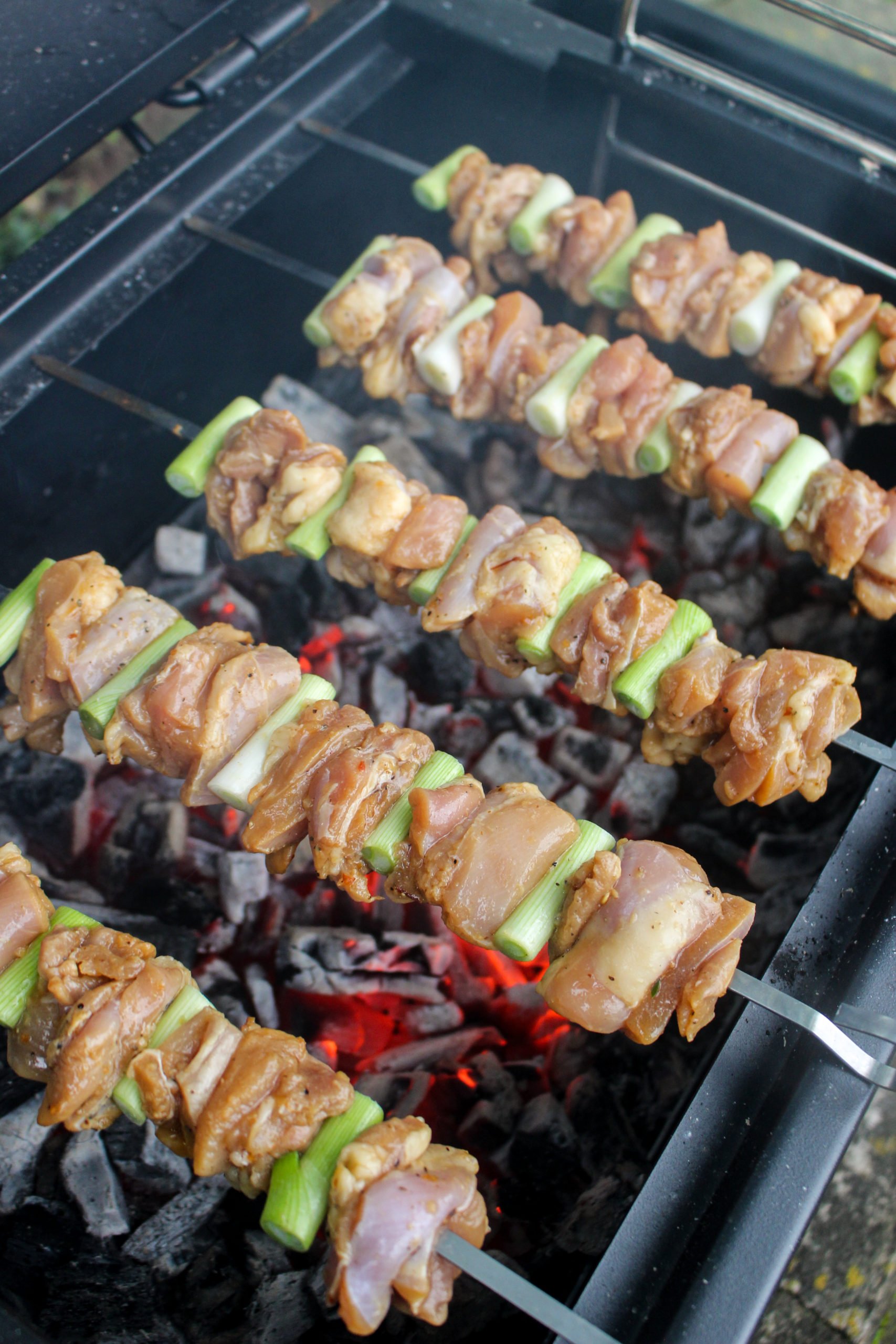 Skewered Beef and Scallions