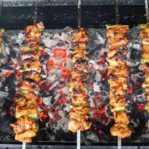 Chicken and Scallion Skewers