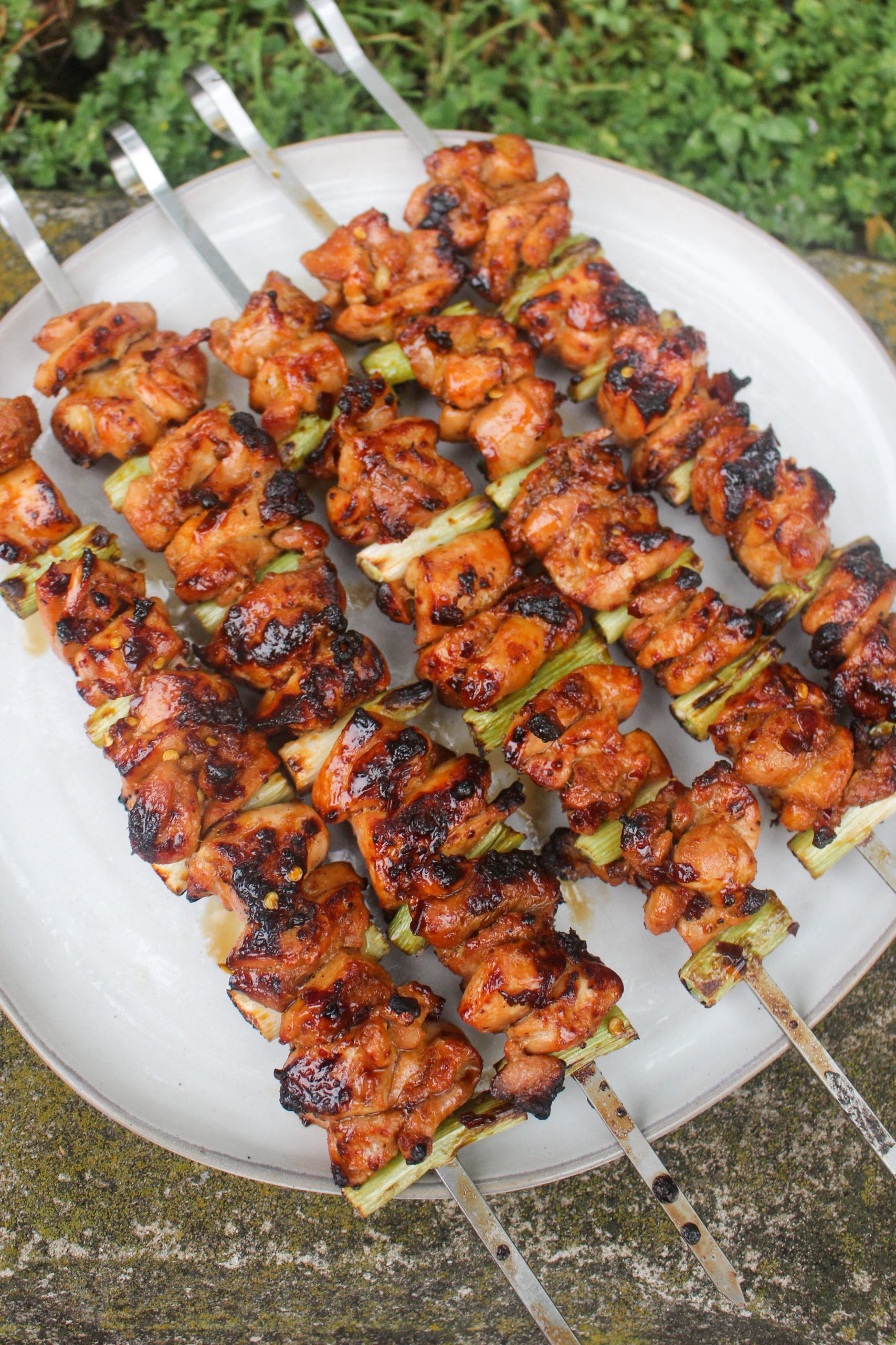 Chicken and Scallion Skewers