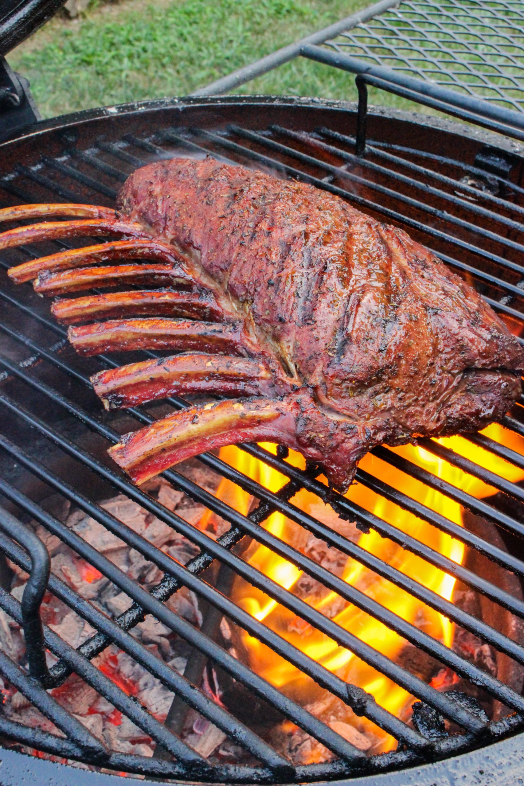 Venison Rack with Wild Herb Butter