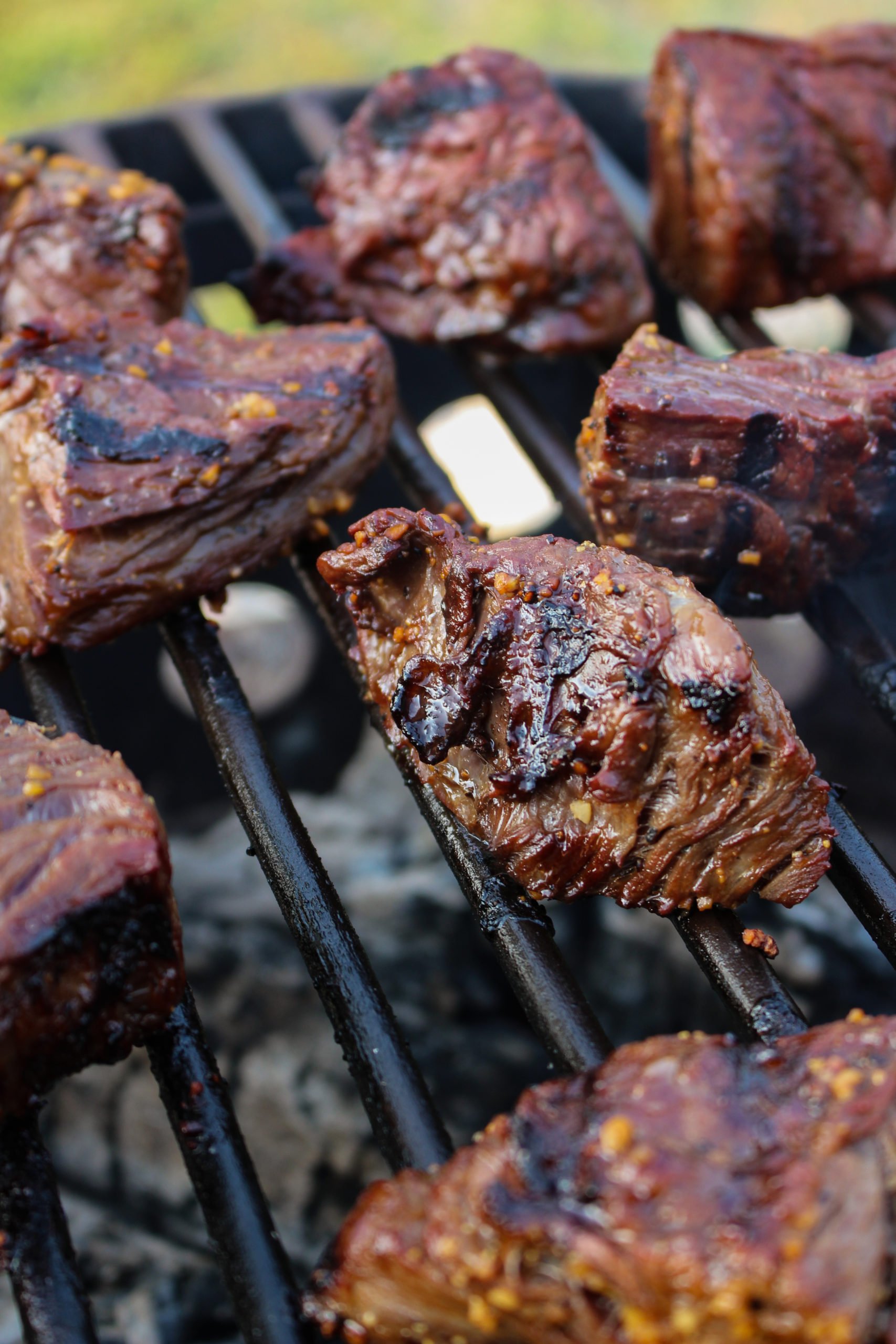 A close up shot of the steak on the grill. 