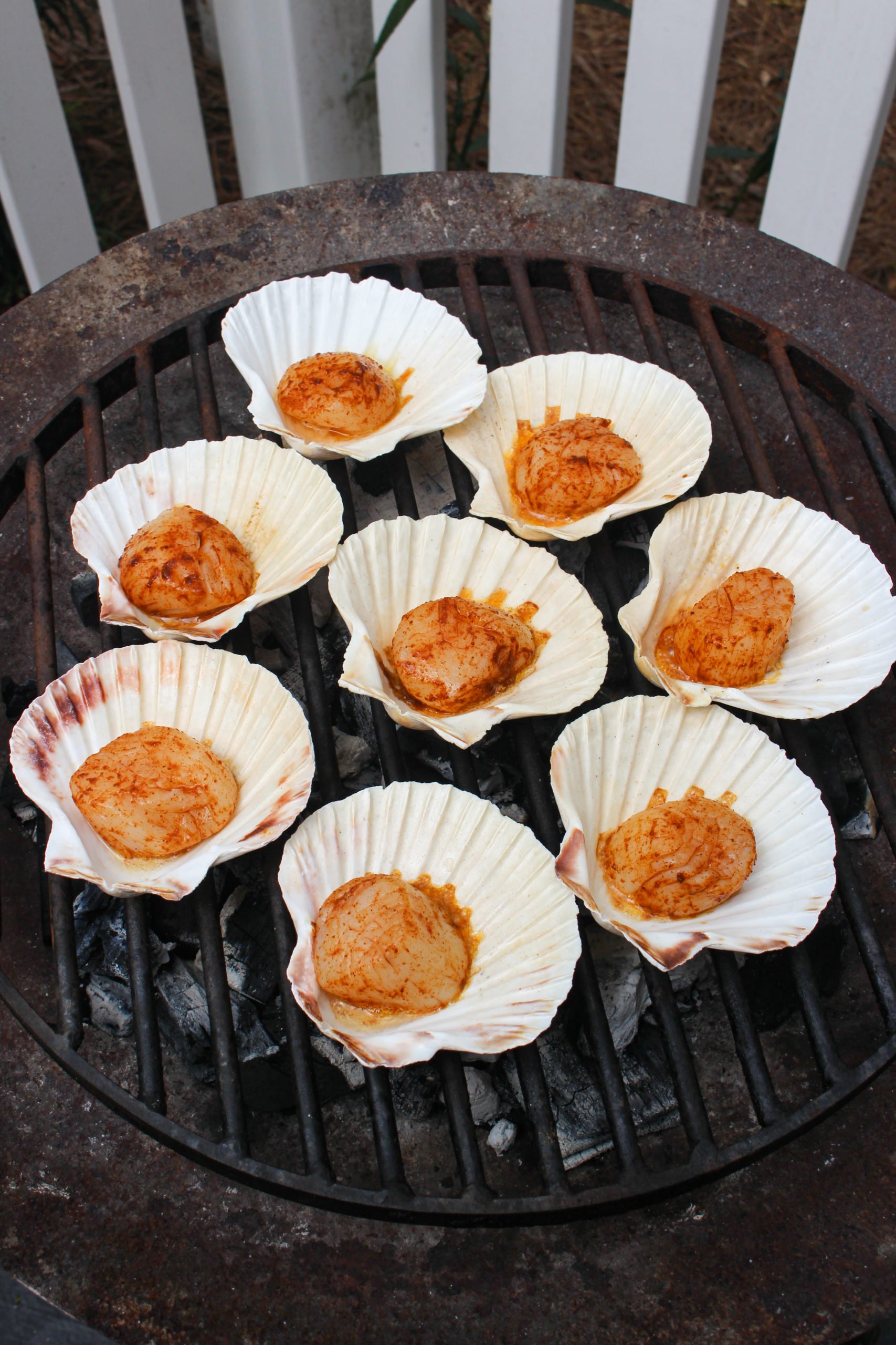 Grilled Scallops in the Shell - Over The Fire Cooking