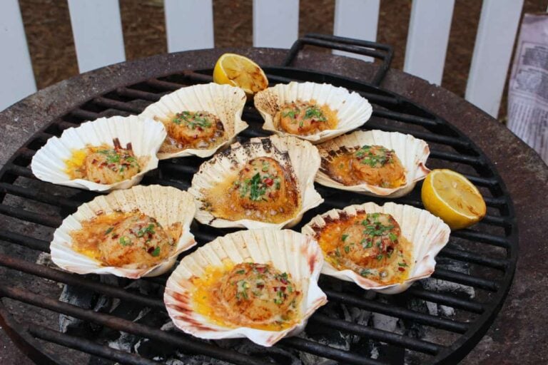 Grilled Scallops in the Shell Over The Fire Cooking