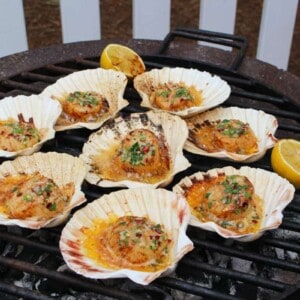 Grilled Scallops in the Shell