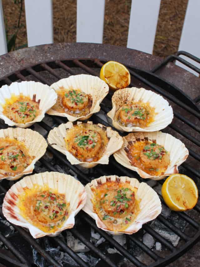 Grilled Scallops in the Shell Over The Fire Cooking