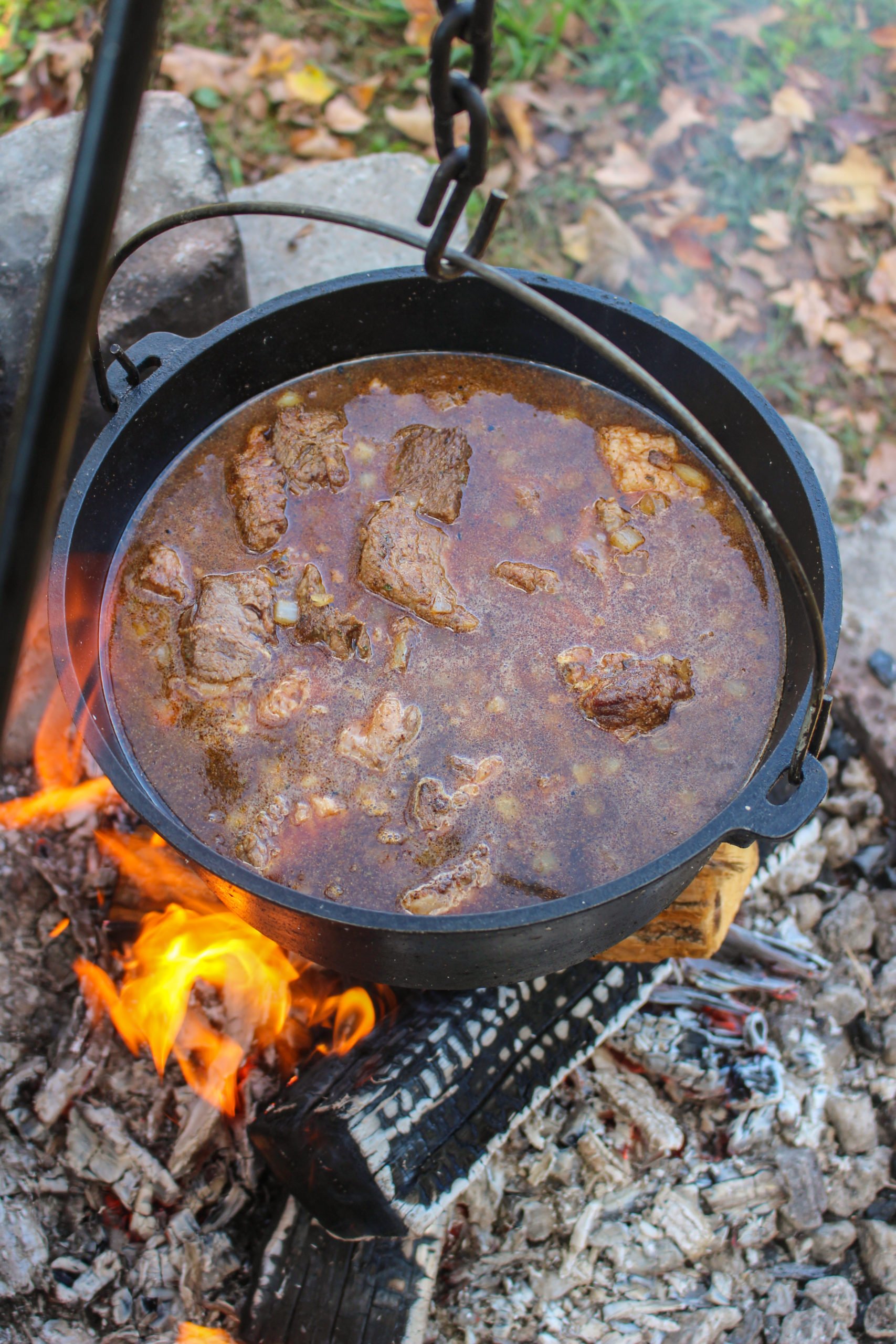 Chipotle Garlic Chili Con Carne