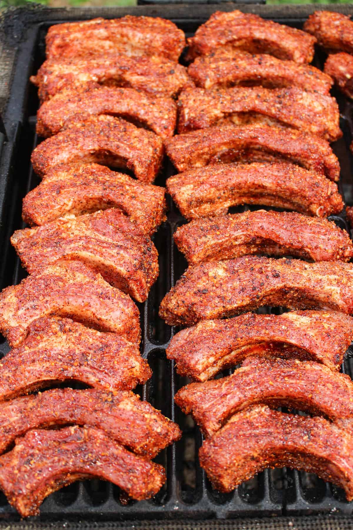 closeup of uncooked ribs lined on a smoker