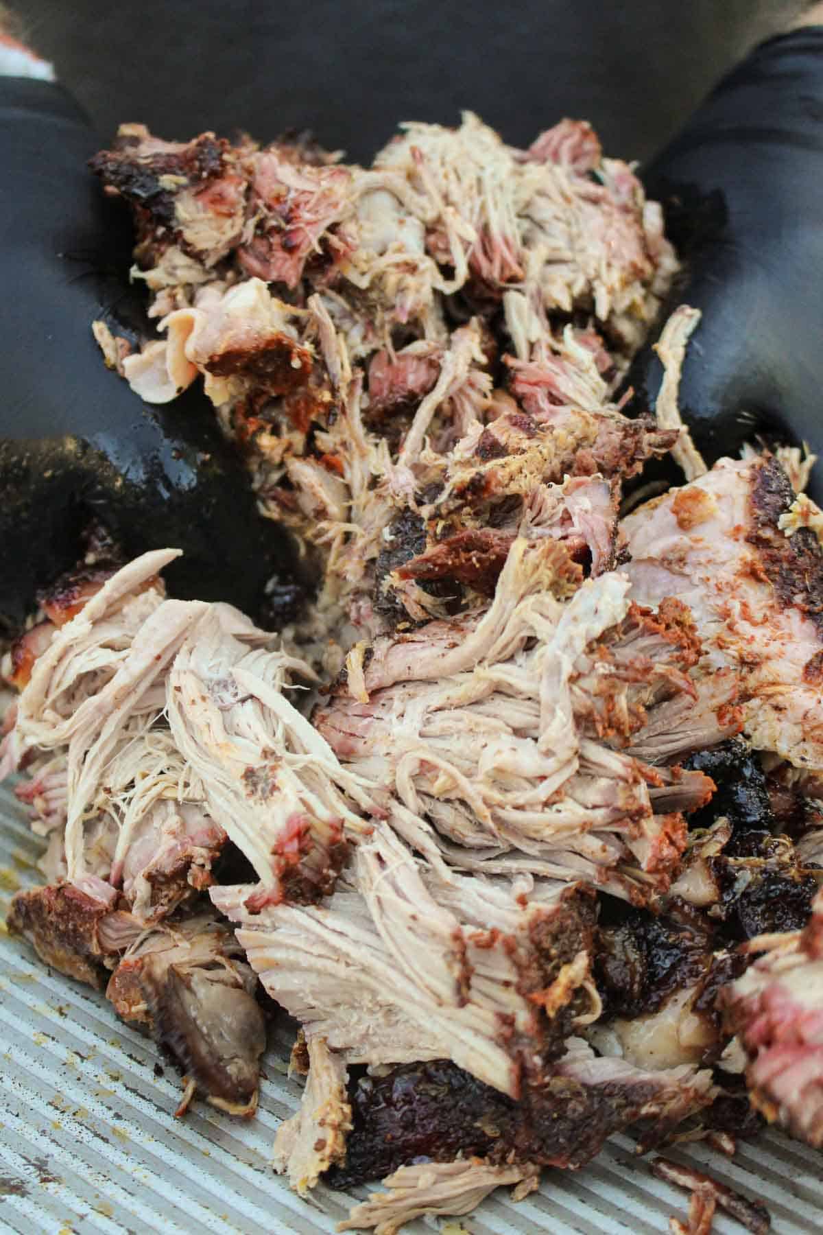 A close up shot of the pulled pork being shredded.