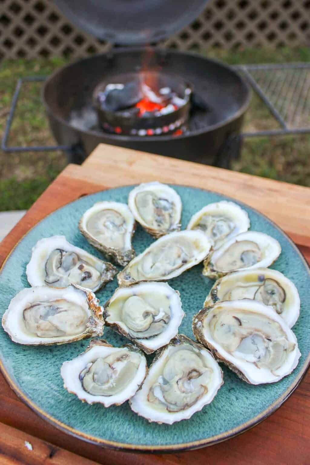Grilled Steaks and Oysters Over The Fire Cooking