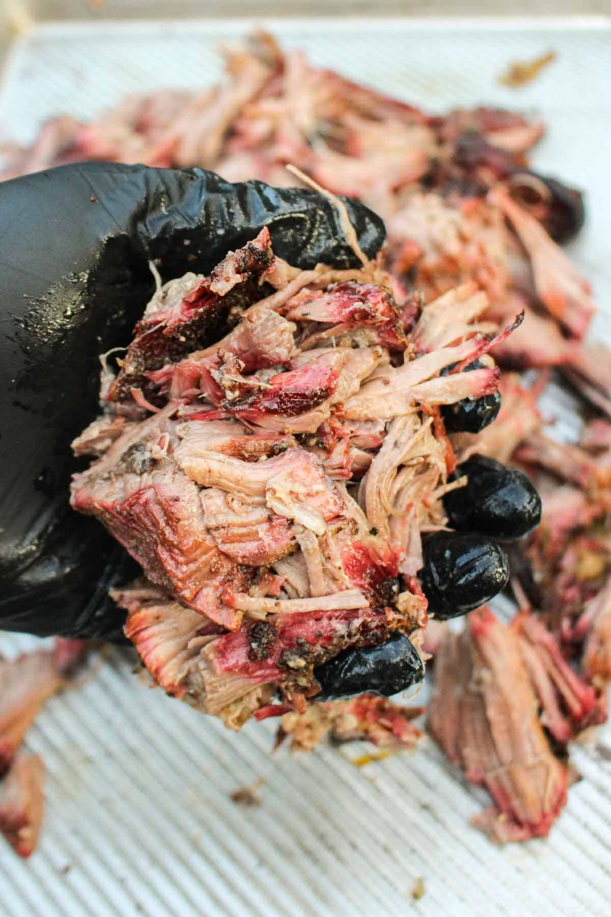 A handful of pulled beef being held up to the camera.