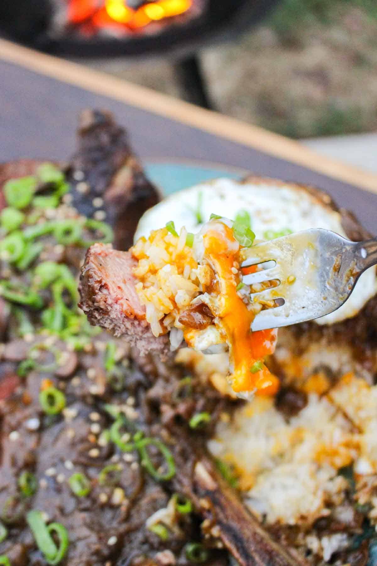 A closeup of the bite: steak, rice, egg, gravy, green onions, and sesame seeds. 