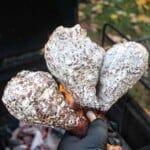 Three beer brined turkey legs dipped in Alabama white sauce