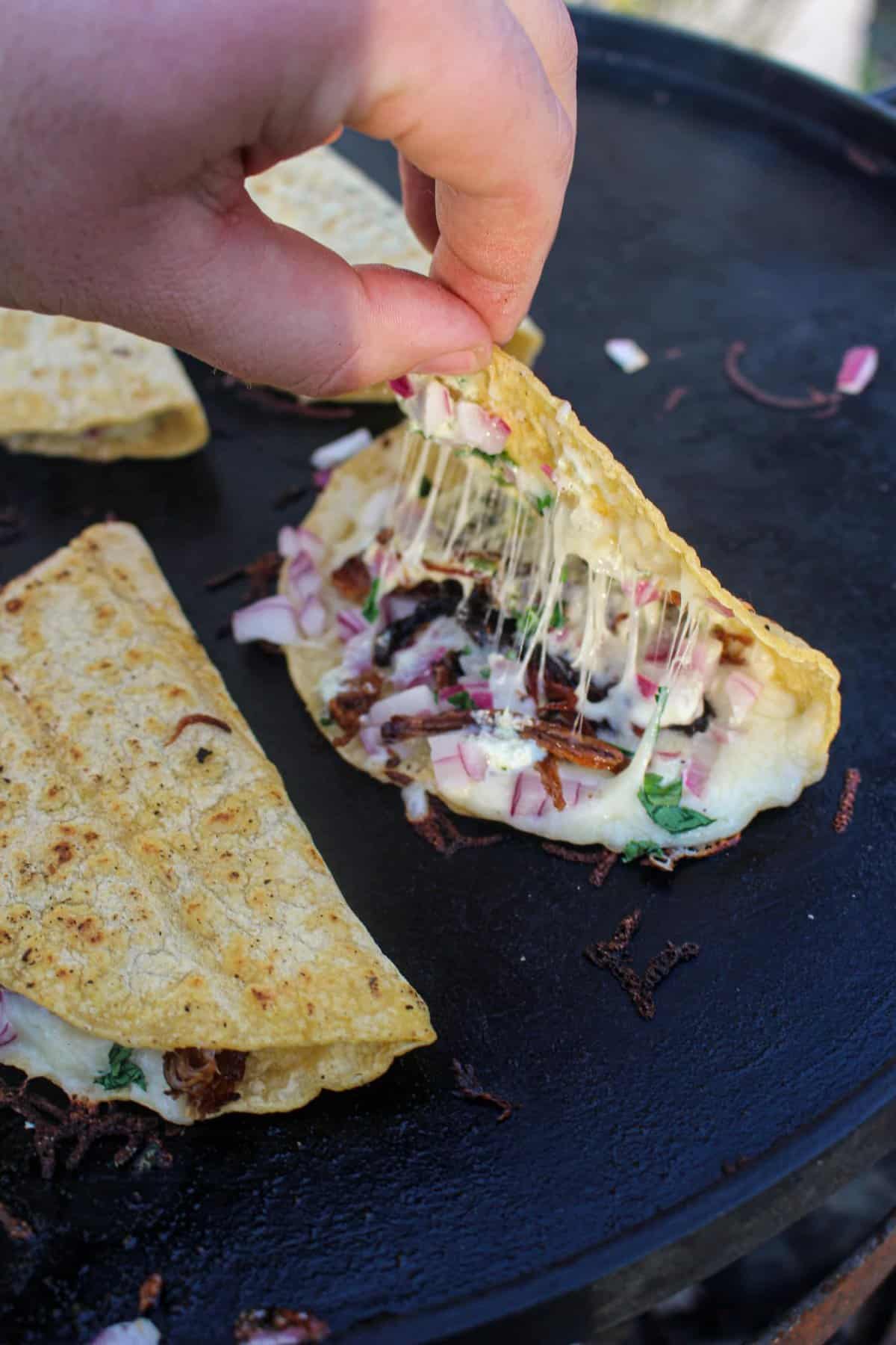 Pulling open the tortilla of a pulled pork quesadilla with vegetables and melted cheese inside