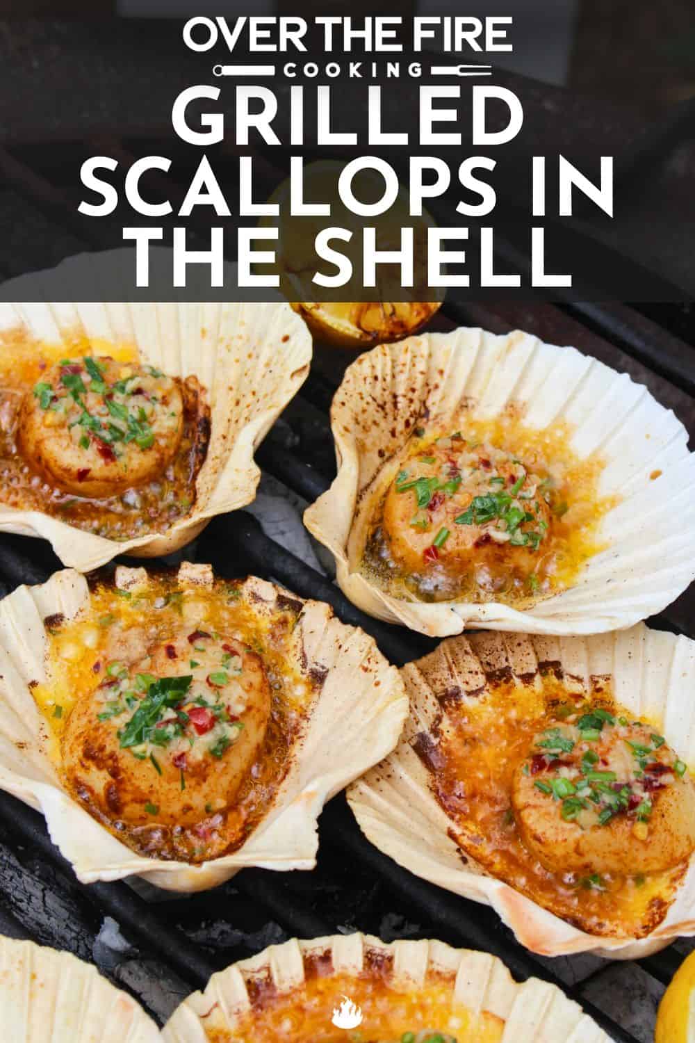 Grilled Scallops in the Shell Pinterest pin