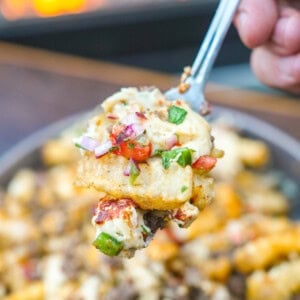 A close up of the Loaded Fries. Tastes like the best tacos you've ever had on the best fries you'll ever eat.