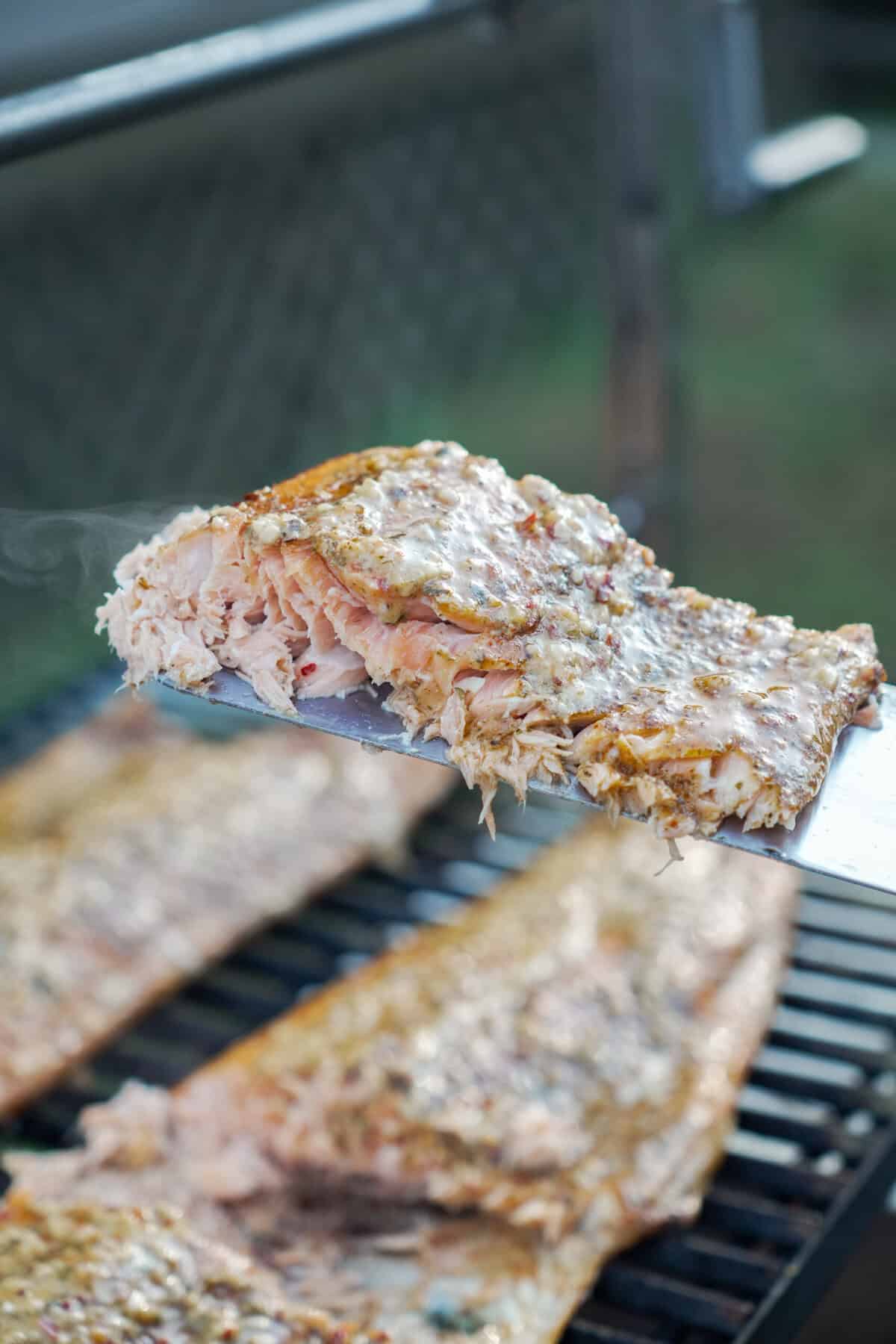 A spatula holding up a slice of grilled salmon fillets basted in cowboy butter