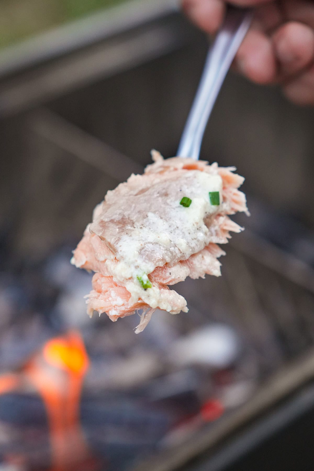 A forkful of the best, most sustainable salmon you can source from Chile.