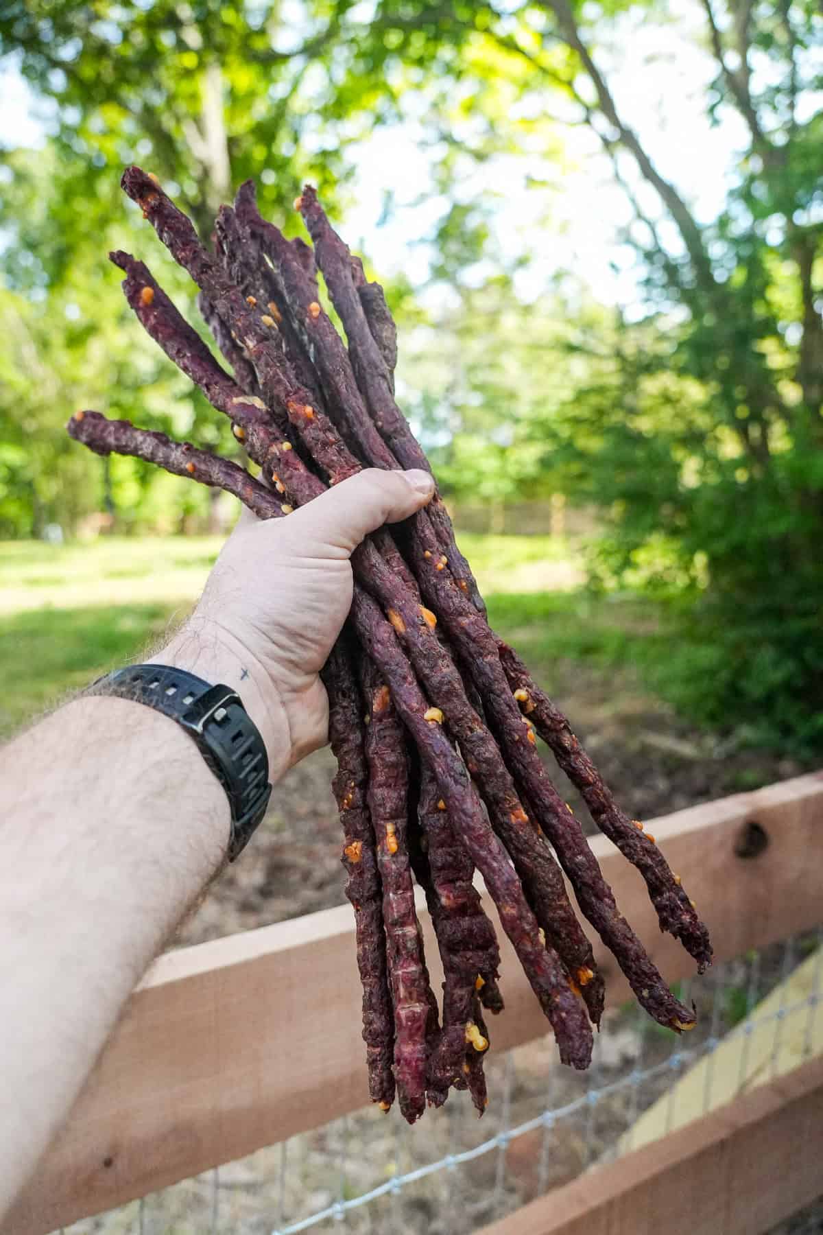 Derek Wolf holding up a handful of Texas Twinkie beef sticks