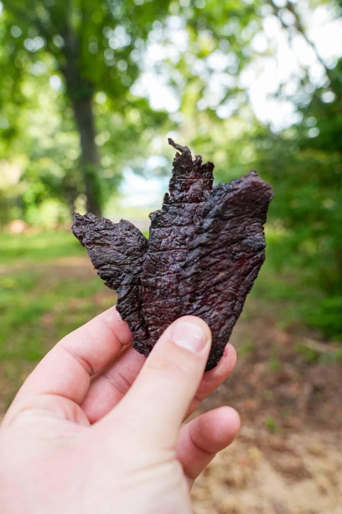 Derek Wolf holding up three slices of crispy brisket jerky with trees in the background